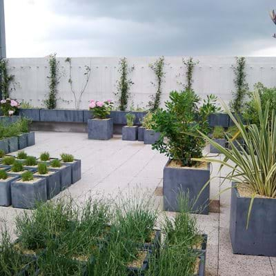 French Roof Garden 